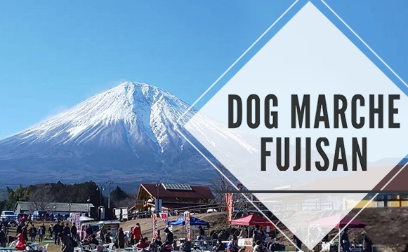 イベント画像（ドッグマルシェ富士山）-thumb-581x360-3524.jpg